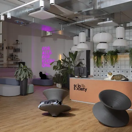 Solo Society Hybrid Apartment