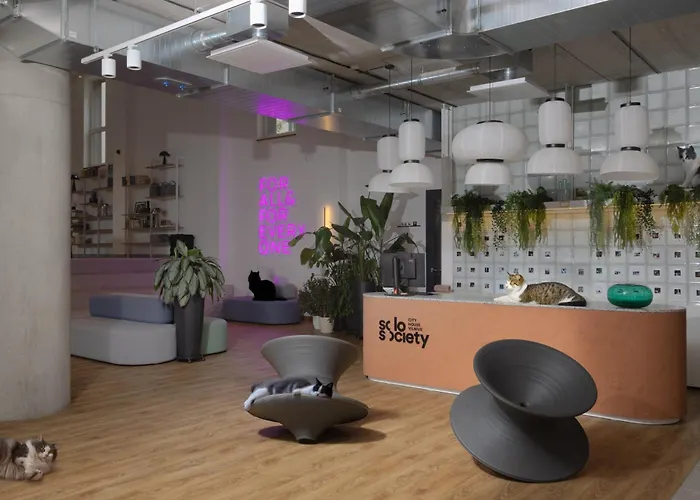 Solo Society House Coliving Apartament