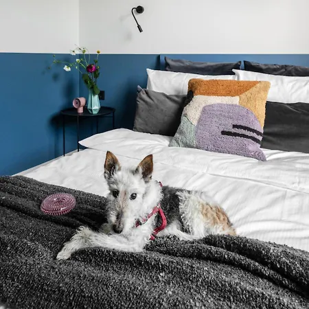 Solo Society House Coliving Apartment Vilnius